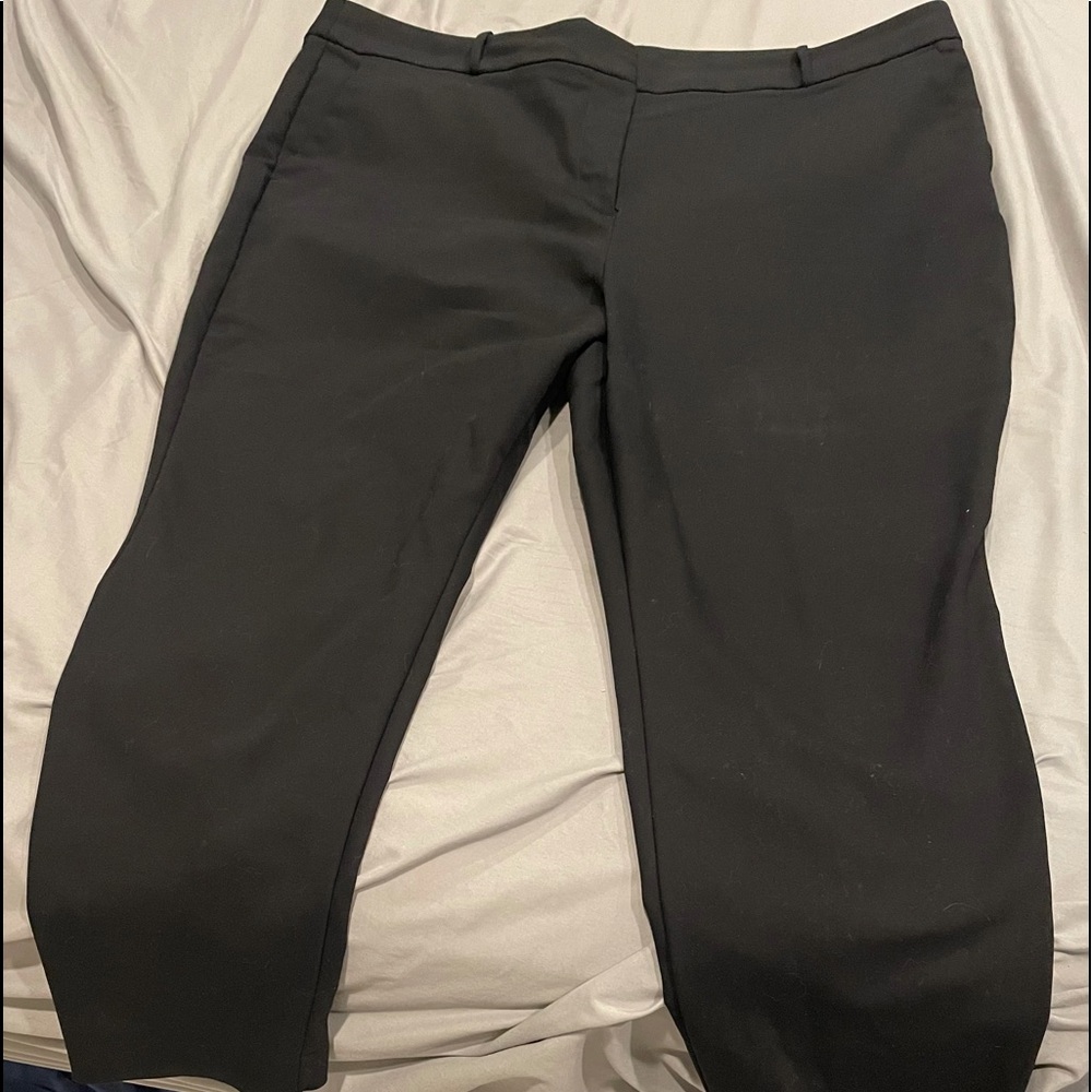 Loft Plus Dress Pant